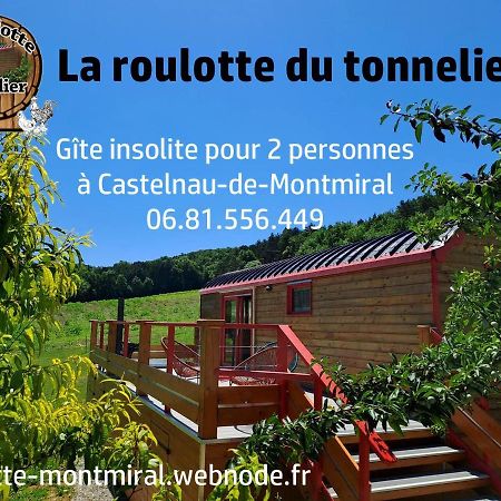 La Roulotte Du Tonnelier Villa Castelnau-de-Montmiral ภายนอก รูปภาพ