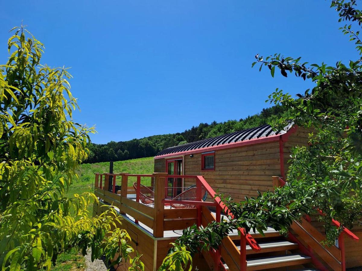 La Roulotte Du Tonnelier Villa Castelnau-de-Montmiral ภายนอก รูปภาพ